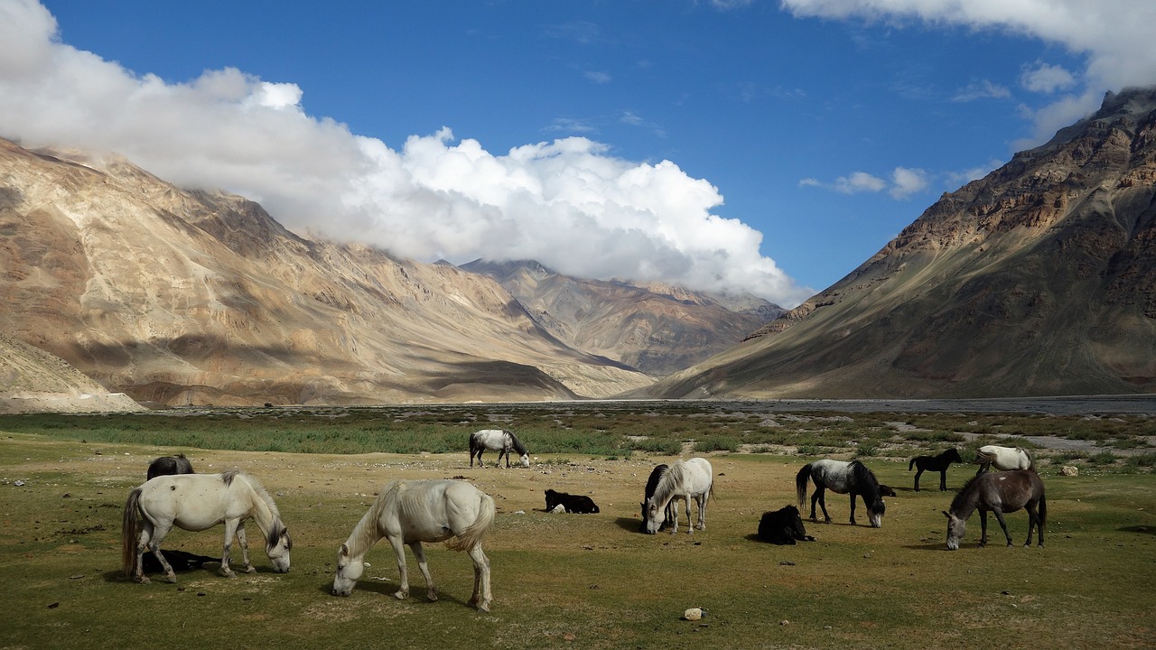 Exploring Spiti and Himachal 5 Days